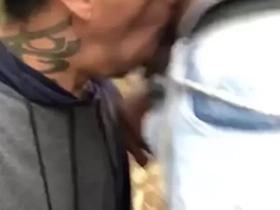 Mavanbo me parou na rua