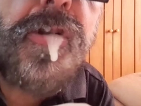 Nectar farto do urso branco