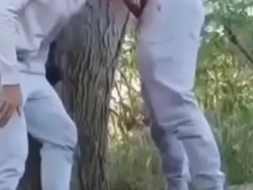 Safados fudendo no mato