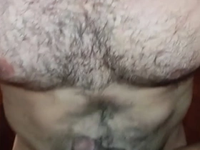 Urso metendo gostoso e ganhando massagem no peito