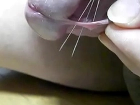 チンポに針を刺す